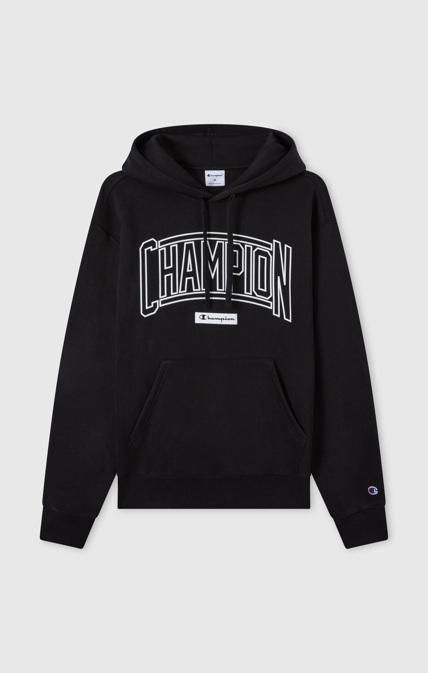 Men's Hooded Sweatshirt With Brushed Interior And Puff Print Logo