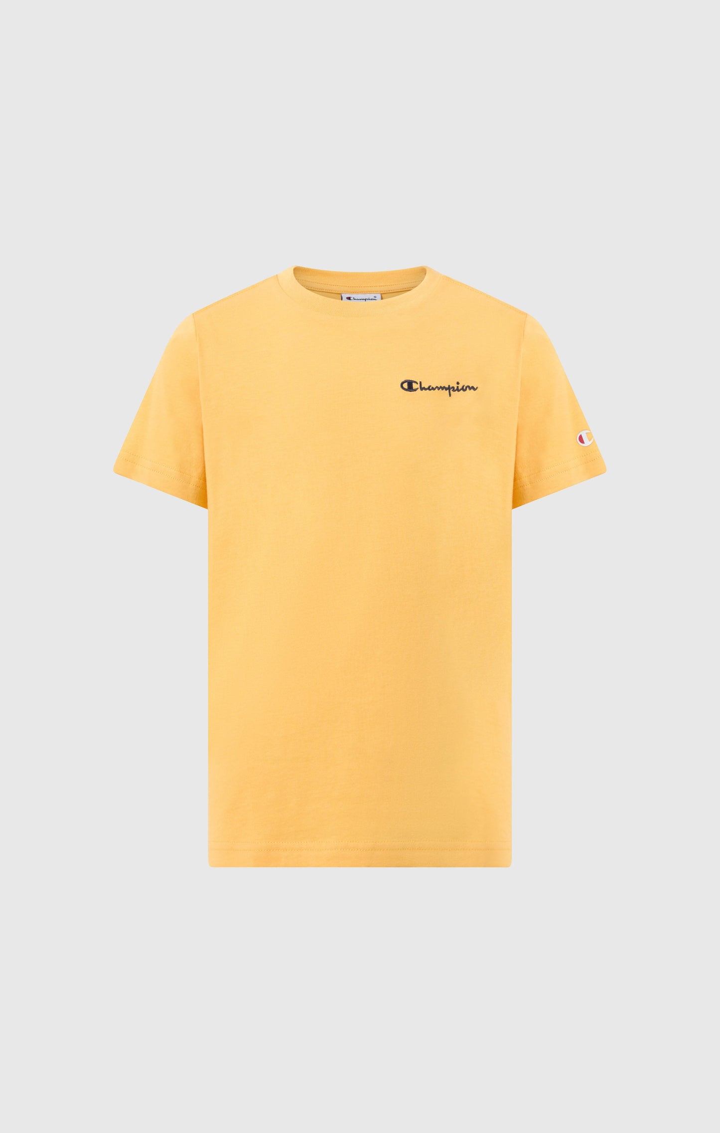 Boys' Crewneck Small Script Logo T-Shirt Icons